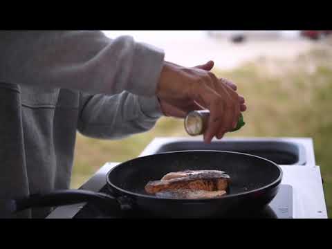 Double Induction Cooking in Style Landscape